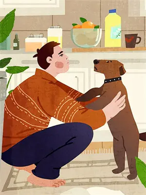 找一本官场小说