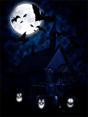 听说我离婚了gl全文免费阅读