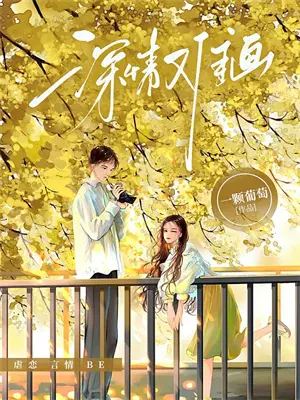 主角开书院的小说